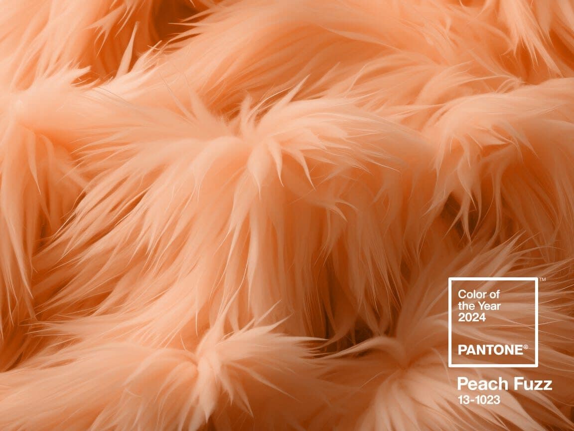 BLOG 2024 Pantone Peach Fuzz factor