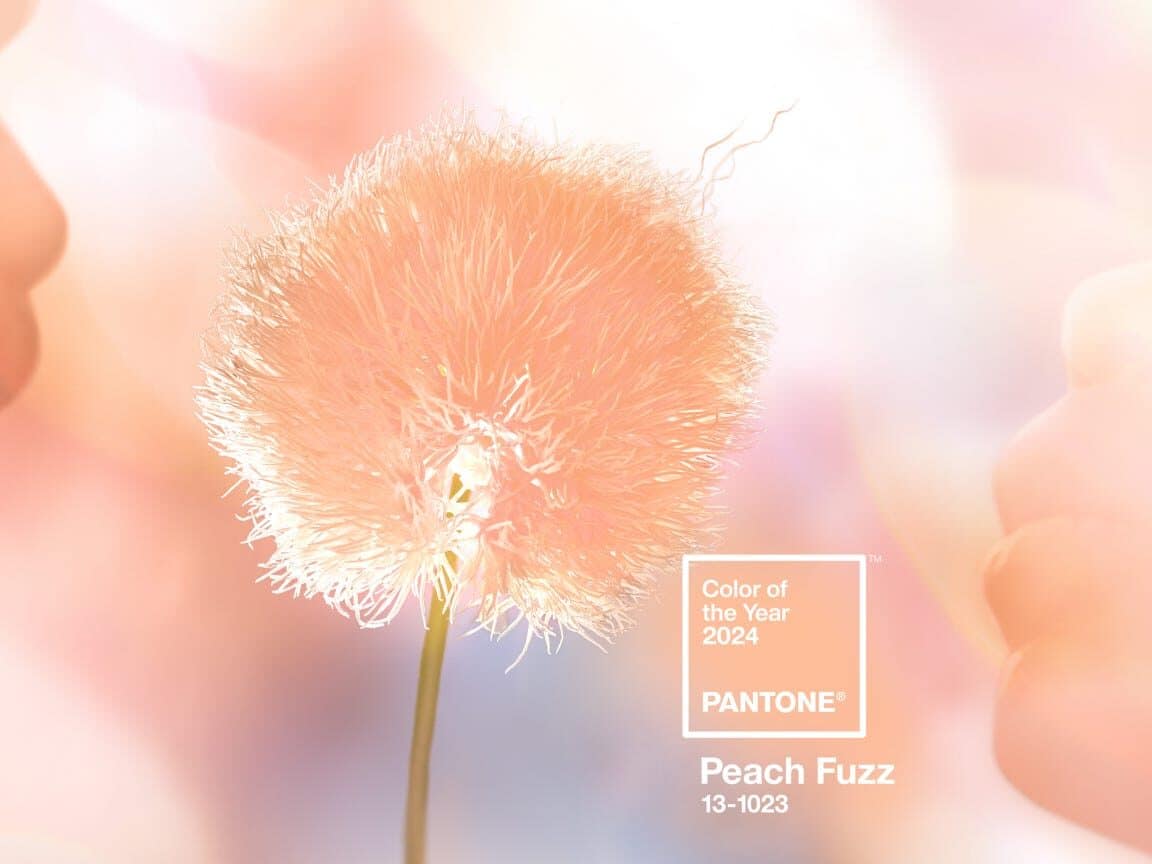 BLOG 2024 Pantone Peach Fuzz dandelion blower