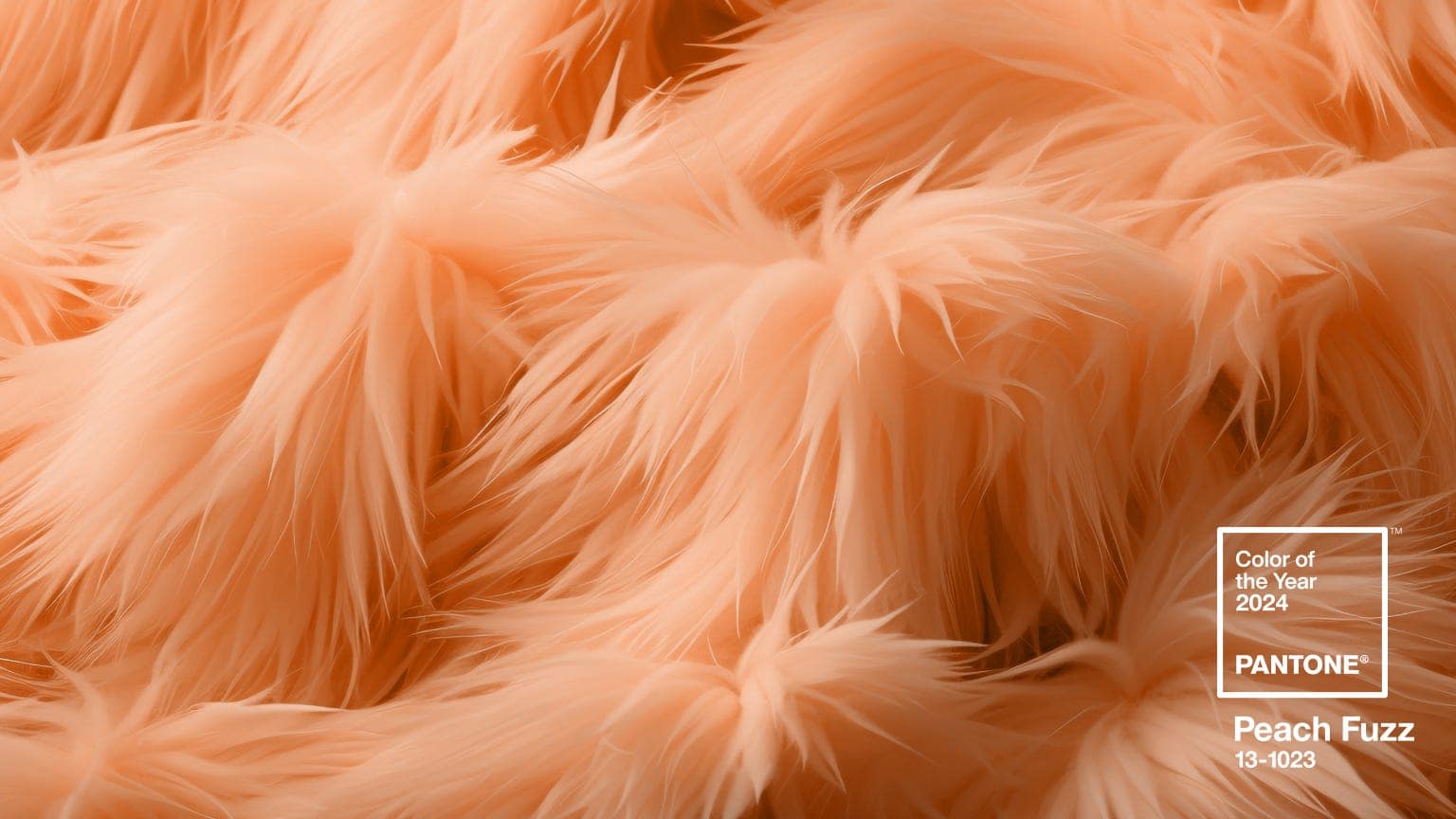 BLOG 2024 Pantone Peach Fuzz wallpaper-download-fuzzfactor-1536x864
