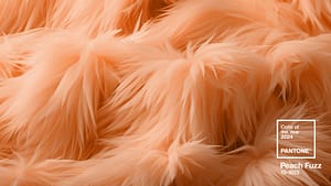 BLOG 2024 Pantone Peach Fuzz wallpaper-download-fuzzfactor-1536x864