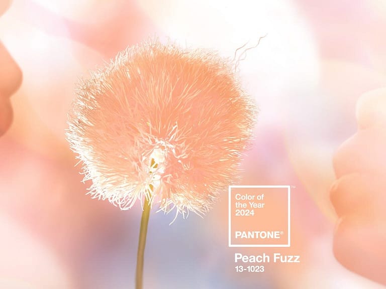BLOG 2024 Pantone Peach Fuzz dandelion blower